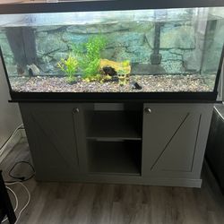 75 Gallon Fish Tank With Stand Filter Fish And Decorations