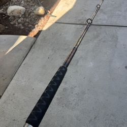 Salt Water Fishing Rod. Tiger Spinning Fishing Rod. 