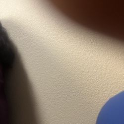 Craftsman Cordless Bluetooth Speaker CMCR 001 With Batteries. Works Perfectly