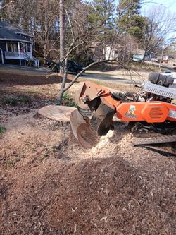 Stump Grinding 