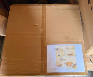 Wall-Mounted Cat Shelf Activity Center