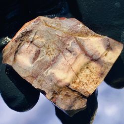 Exotica Sci Fi Porcelain Jasper from Mexico Scenic Pattern Raw Natural Rough