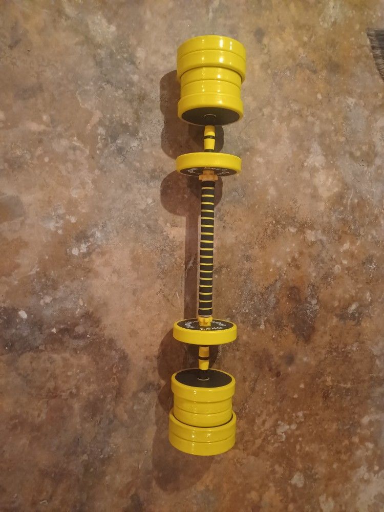 dumbbells and a barbell