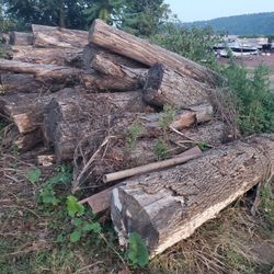 Seasoned Firewood 
