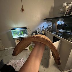 XL Reptile/Small animal hide/den log real wood; not fake like modern store hides!