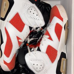 Air Jordan 6 Retro Gatorades