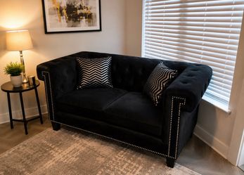 Black Velvet Couch