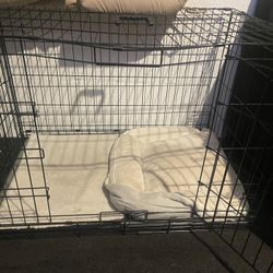 Dog Crate with pillow and mat