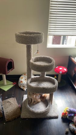 Cat tree and toys