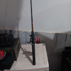 Abu garcia real with ugly stick rod