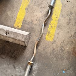 Olympic EZ Curl Bar 