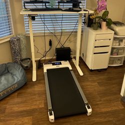 Electric Standing Desk With Walking Pad