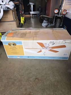 Hampton bay fan