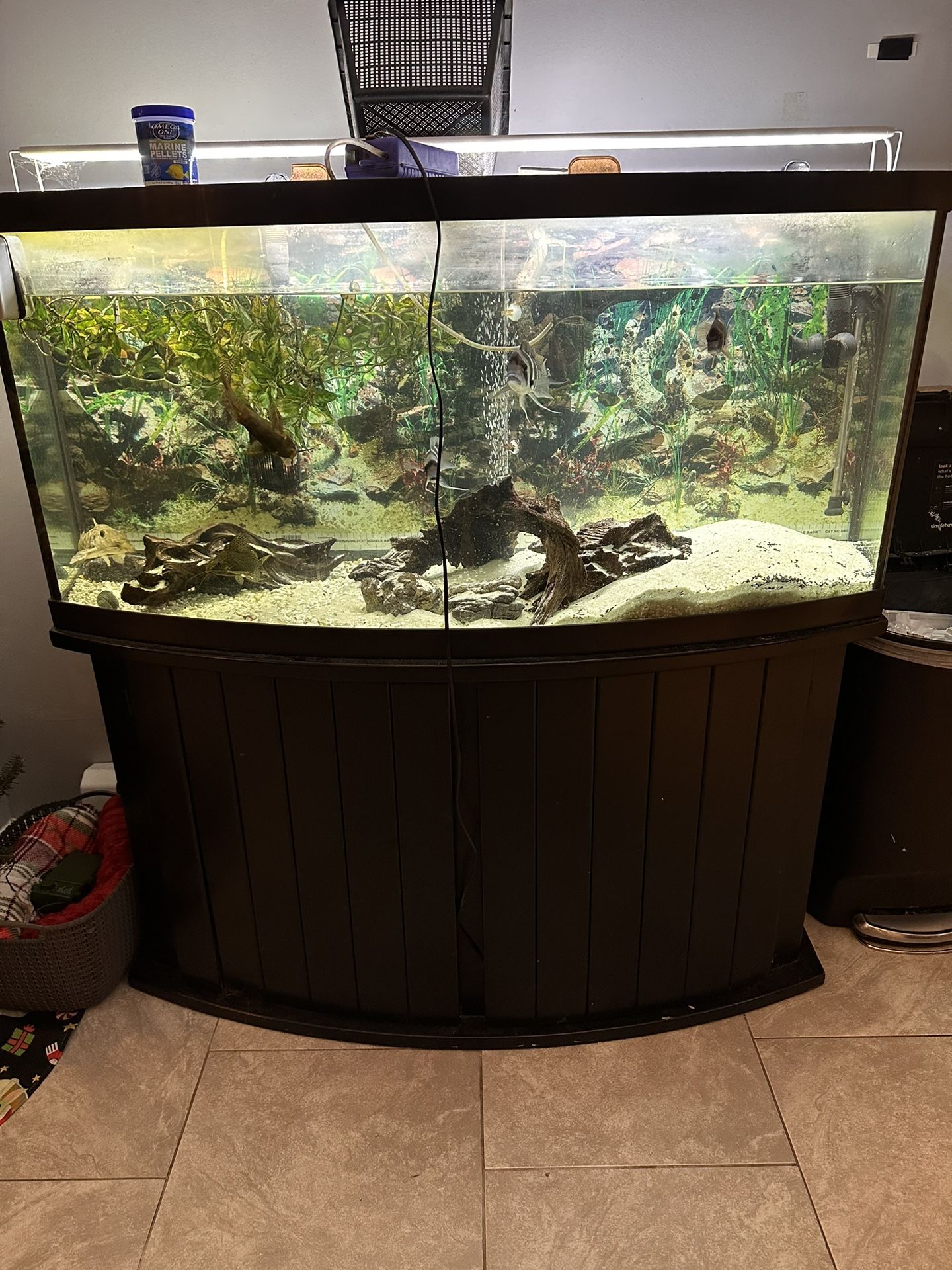Aqueon 75 Gallon Bow Front Fish Tank W/ Stand