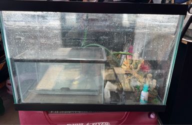 65 Gallon Aquarium setup