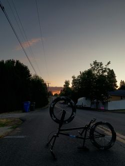 Elite BMX Bike