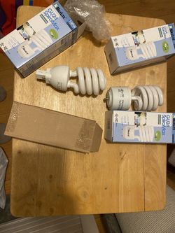 Lights Bulbs 