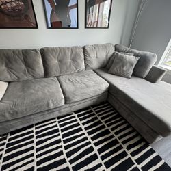 Grey Sectional Couch