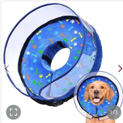 New After Surgery Pet Cone