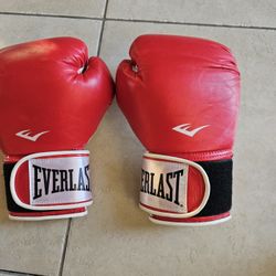 Everlast  boxing  / mma gloves