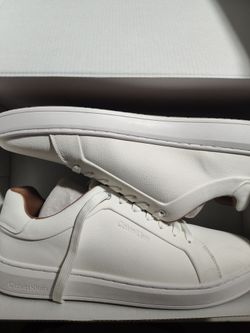 Calvin Klein WIVLO Sneaker Size 12