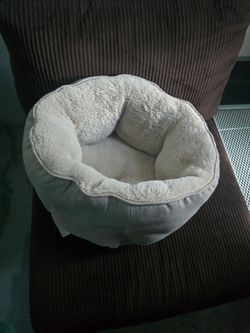 Pet bed