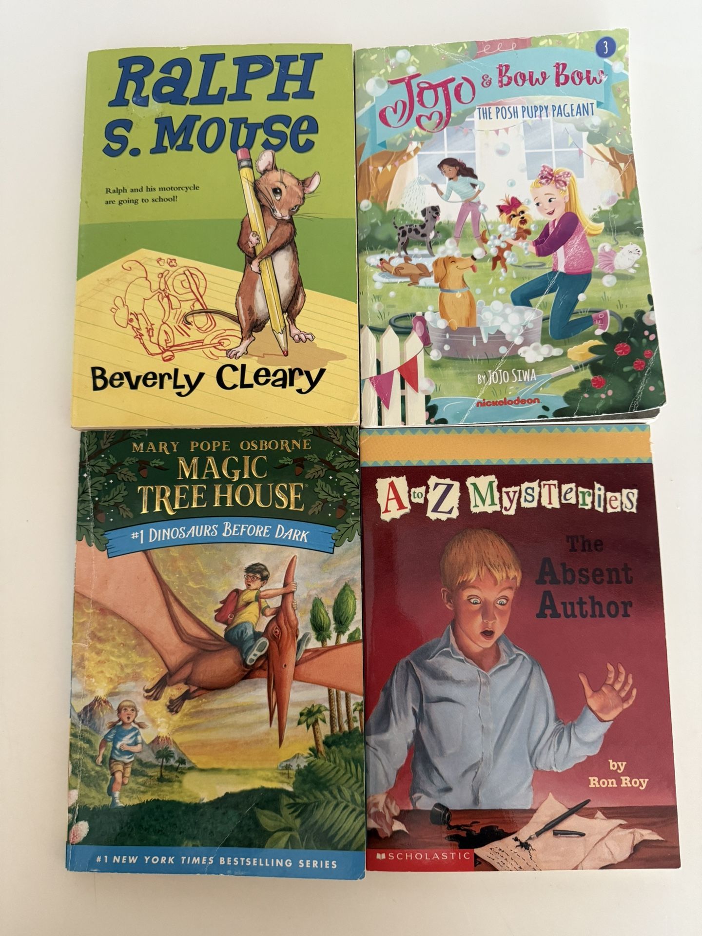 Books Early Readers Chapter Books