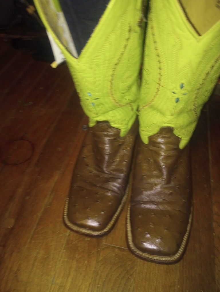 Ferrini Ostrich Boots