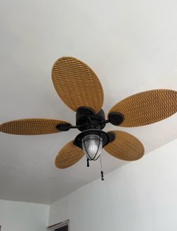 FAN $12 OBO