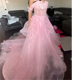 Ball Gown Quinceañera Dress