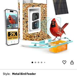 Bird Feeder with Camera