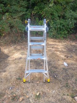 Gorilla Ladder