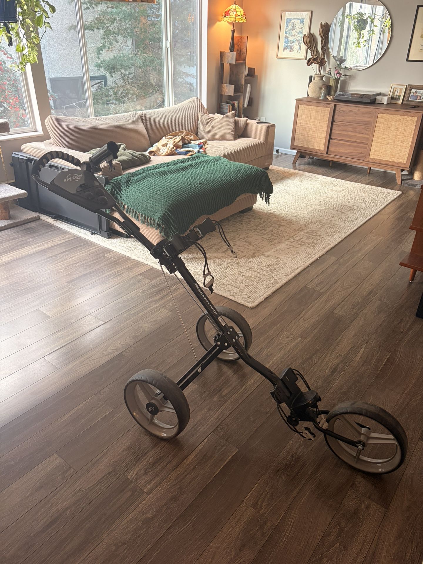 Ray Cook Silver Ray Foldable Push Cart