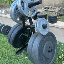 Gym Lifting Weights & Weight Tree