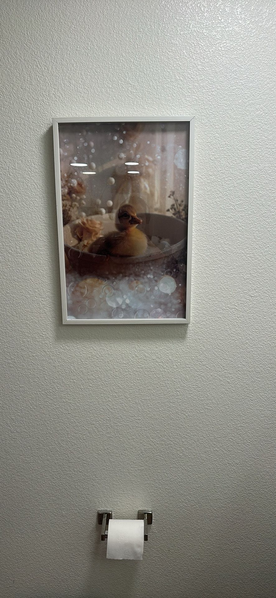 Baby Duck In Bath Picture 