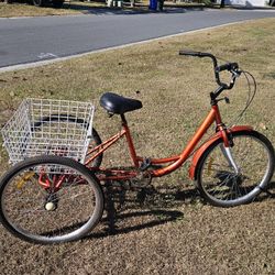 24 INCH SINGLE SPEED ADULT TRICYCLE 
