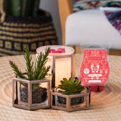 Scentsy Warmer 