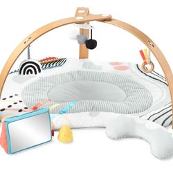 Skip Hop Baby Play Gym 
