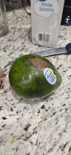 Over seas avocado