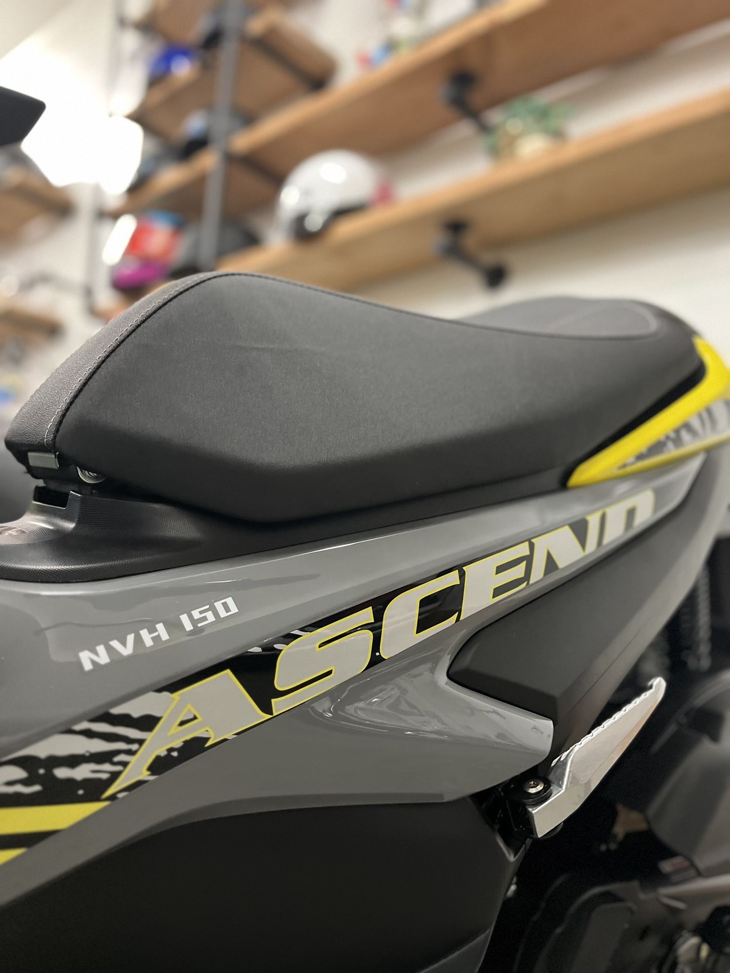 2025 Ice bear Ascend