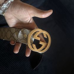 Gucci Belt 