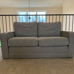 Pottery Barn Teen Grove Sleeper Sofa 