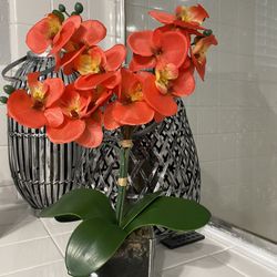 Orange Orchid Decor