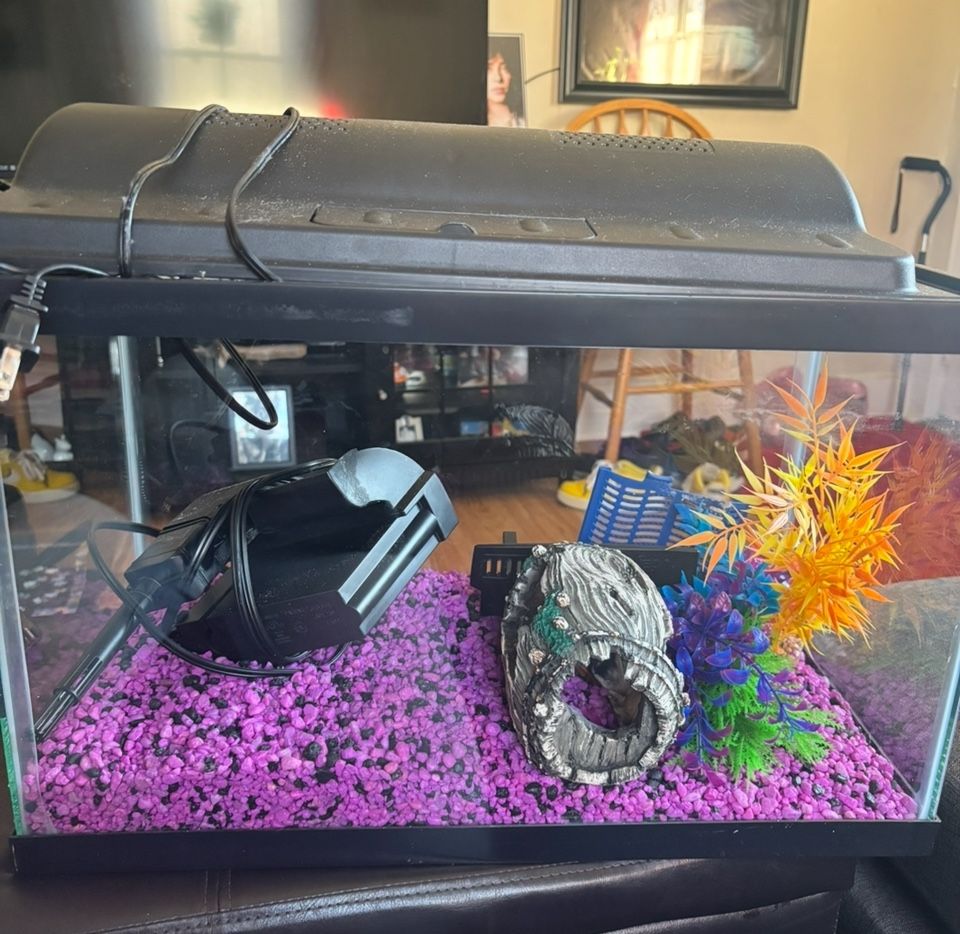 20 Gallon Aquarium Includes Everything 