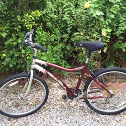 Bike 26”
