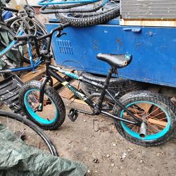 Mongoose , 16 Fatboy 