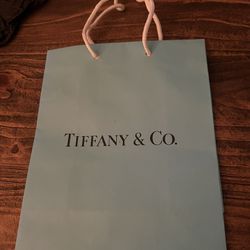 TIFFANY &CO. SHOPPING BAG 