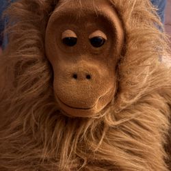 Stuffed Orangutan 