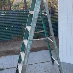 6ft Ladder 