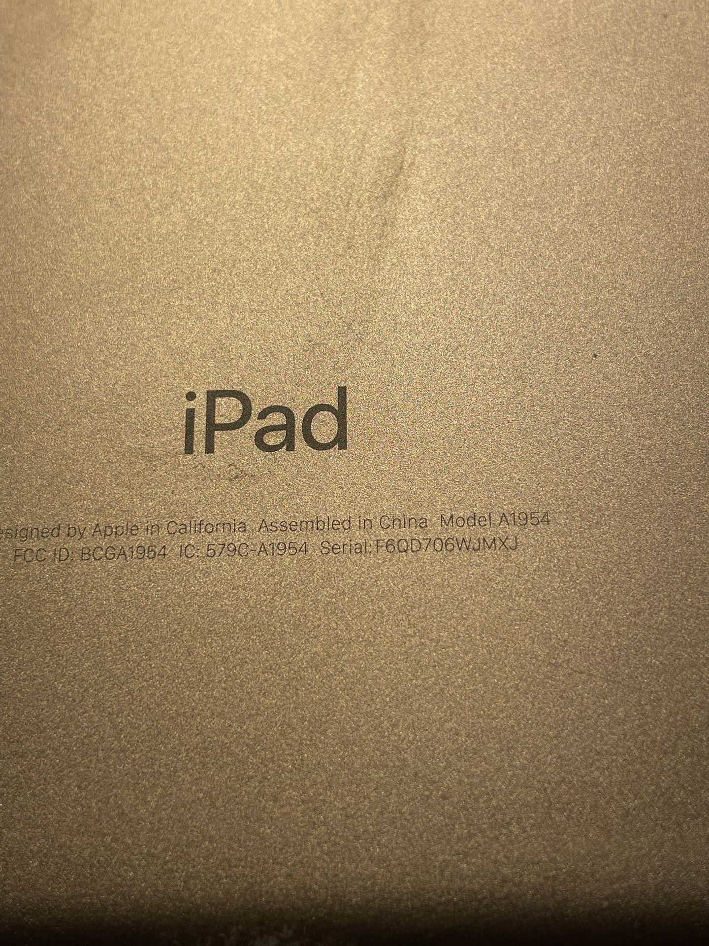 iPad